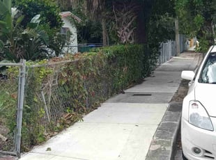 Bush Trimming by John Hernandez for Tonya J. in Miami, FL