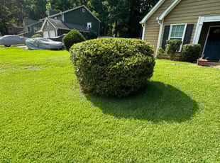 Bush Trimming by Derek Garcia for Jakeia E. in Stonecrest, GA