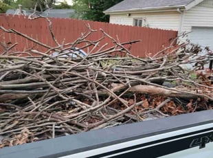 Leaf Removal by Perry Luna for Lori W. in Belleville, IL
