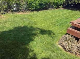 Lakitta J.'s Lawn Mowing Service service result