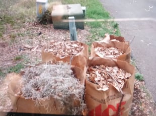 Leaf Removal by Jeryl Scott for Darlena W. in Tallahassee, FL