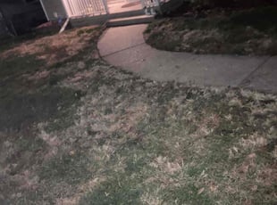 Leaf Removal by Miguel Mata for Martin M. in Des Moines, IA