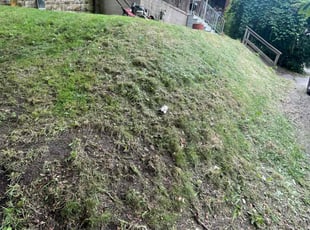 Leaf Removal by Jennifer Frain for Charles C. in Pittsburgh, PA