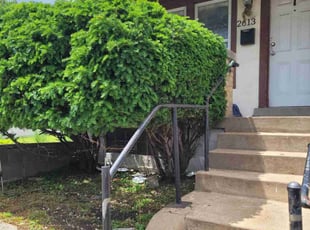 Bush Trimming by Gary Kotyk for Brenda D. in St. Louis, MO