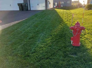 Curtis k.'s Yard Cutting service result