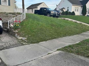 Anna F.'s Grass Cutting service result