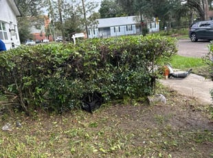 Bush Trimming by Delson Auguste for Antares W. in Jacksonville, FL