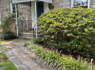 Bush Trimming by Fidel Rodriguez for Malene D. in Arlington, VA