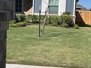 Bush Trimming by Jarrod Hoskins for Dree H. in Yukon, OK