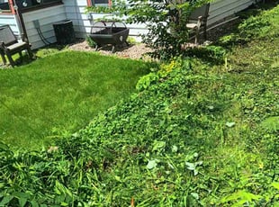 Flint B.'s Lawn Maintenance service result
