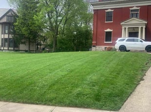 Calvin A.'s Lawn Care service result