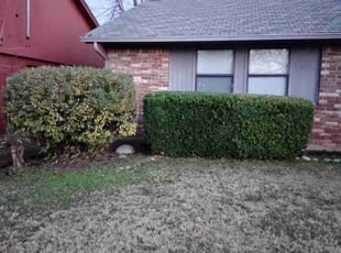 Bush Trimming by Dillon Hickey for Jennifer L. in Yukon, OK