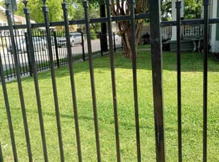 Kesha S.'s Lawn Care service result