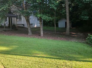 Spencer B.'s Yard Cutting service result
