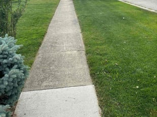 Kristina S.'s Lawn Service service result