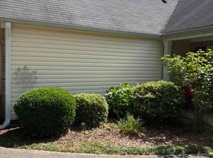 Bush Trimming by Kanu Agabi for Patricia C. in Loganville, GA