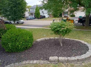 Weeding by Willie Little for Queen W. in Plainfield, IL