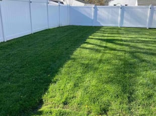 PIERRE C.'s Lawn Mowing Service service result