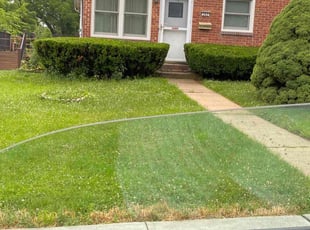Bush Trimming by Andres Morales for Aracelis A. in Allentown, PA