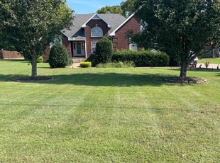 Andrew K.'s Lawn Service service result