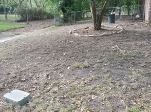 Leaf Removal by Ray Ramon for Linda R. in Leon Valley, TX
