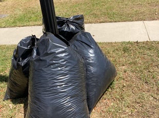 Jack F.'s Leaf Removal service result