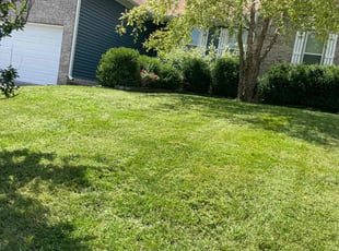 Mary B.'s Lawn Service service result