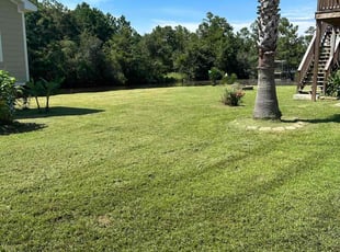 Bradley C.'s Lawn Care service result