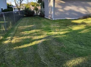 Ross M.'s Lawn Mowing service result