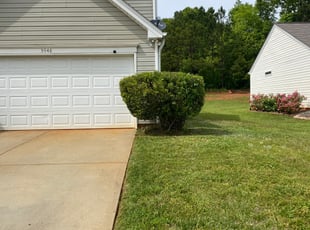 Bush Trimming by Brandon Brewer for Veronica W. in Charlotte, NC