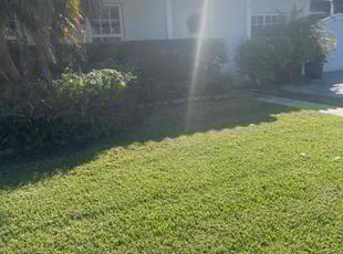 Bush Trimming by Kenneth Swayne for Brian W. in Miami, FL