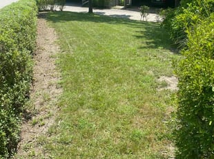 Bush Trimming by Justin Castilyn for Julie K. in Pittsburgh, PA