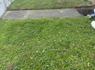 Phyllis C.'s Yard Cutting service result