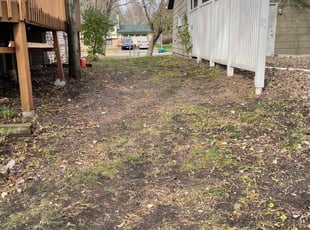 Leaf Removal by Jones Addo for Caleb H. in Minneapolis, MN