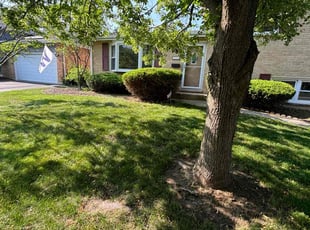 Bush Trimming by Cesar Flores for Nick H. in Downers Grove, IL