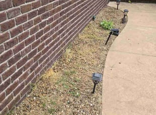 Weeding by David Gronski for Tam H. in Evansville, IN