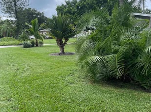 Karen P.'s Lawn Service service result