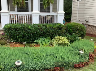 Bush Trimming by Shannon Bond for Brandi b. in Mableton, GA
