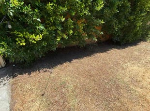 Cleanups by Ross Johnson for Charles B. in Los Angeles, CA