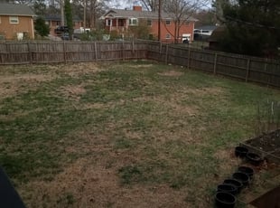 Leaf Removal by Gregory Crayton for Joseph G. in Charlotte, NC
