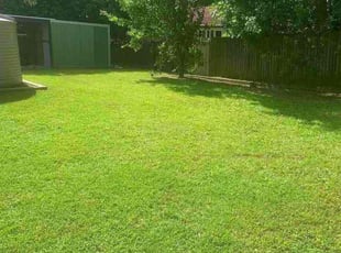 Bush Trimming by Thomas Fredrick for Carolyn Y. in Atlanta, GA