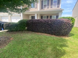 Bush Trimming by Jose Pena for Caleb B. in Concord, NC