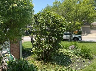 Bush Trimming by Valquez Russell for Lisa M. in Columbus, OH