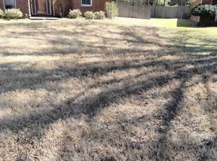 Leaf Removal by Calanda Freeman for William D. in Memphis, TN