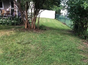 Bush Trimming by Derek Haywood for Joshua J. in Baltimore, MD