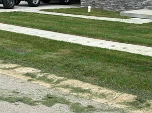 Monica G.'s Lawn Maintenance service result