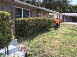 Bush Trimming by Willie Carmichael for Charles S. in Apopka, FL