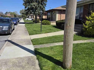 Matthew P.'s Lawn Mowing service result