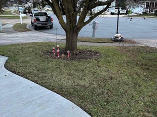 Leaf Removal by Robert Temple for Agostino R. in Joppatowne, MD