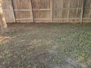 Leaf Removal by Toni Singsonexay for Cortlan E. in San Antonio, TX